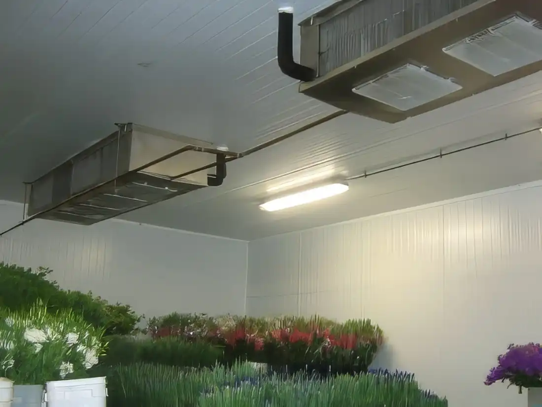 flower storage cooler