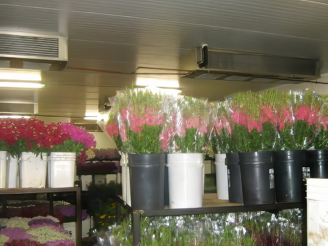 Refroidisseur de stockage de fleurs